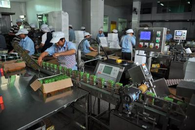 改革40年·厦商40人 | 中绿孙少锋 执著的“农场主”与初级农产品销售之路