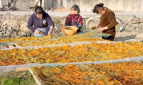 15元一斤抢着买 路边大妈农产品小吃背后的销售智慧