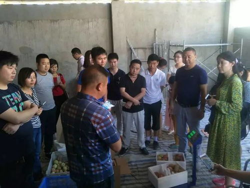 从“滞销”到“尊严” 重塑初级农产品的价值与销售之路