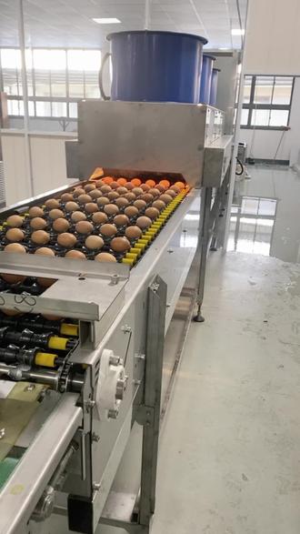 优质农产品的自动化之旅 从田间到健康餐桌