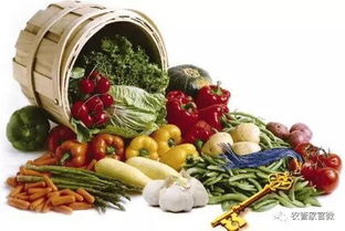 销售农产品是否免征增值税？解析初级农产品销售税收政策