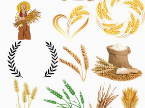 营业执照经营范围解析 食用农产品与初级农产品的区别