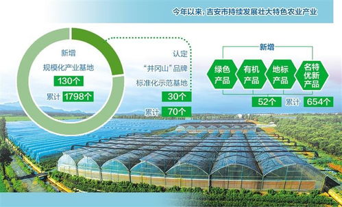 扬优成势，擦亮品牌 江西吉安做强农产品区域公用品牌助力初级农产品销售