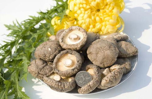 农产品与初级农产品 内涵、区别及销售策略探析